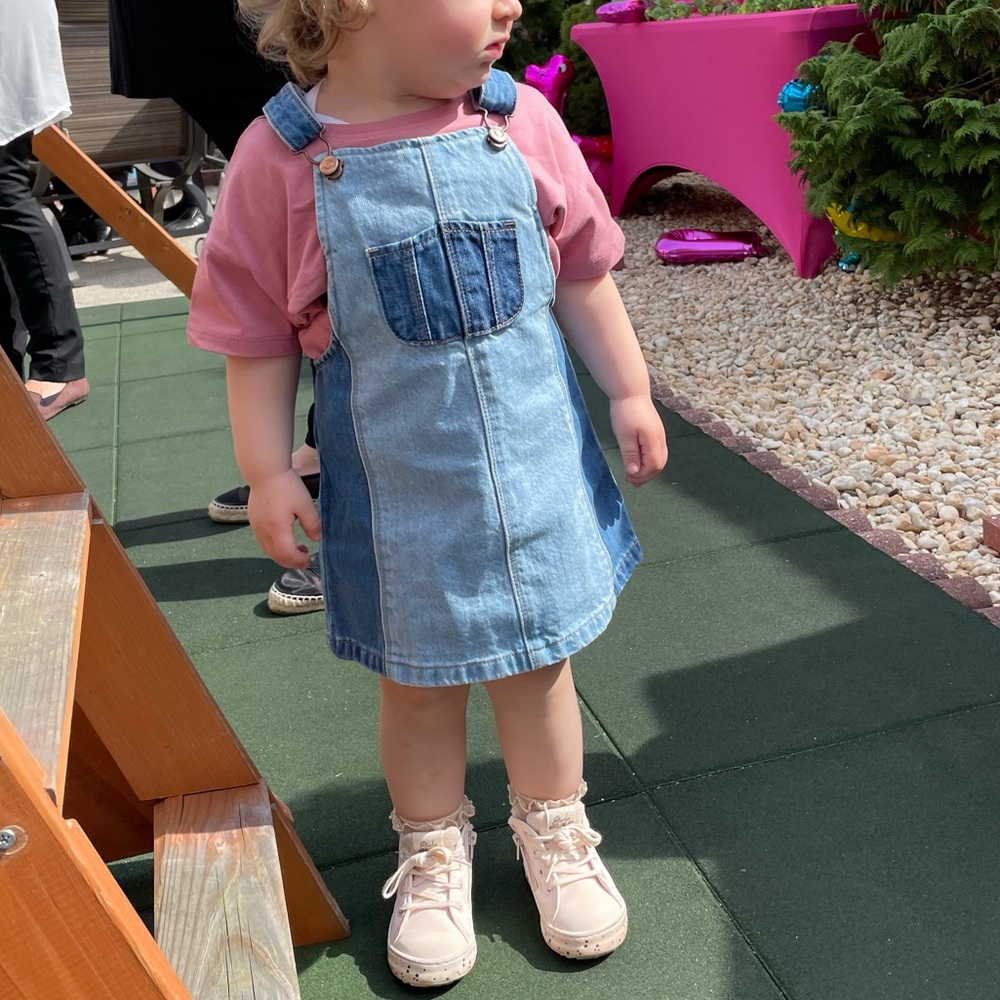Zara Denim Dress